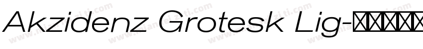 Akzidenz Grotesk Lig字体转换